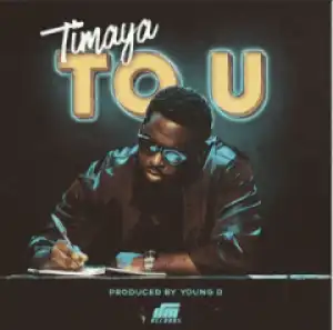 Instrumental: Timaya - To U (Remake by Melody Songs)